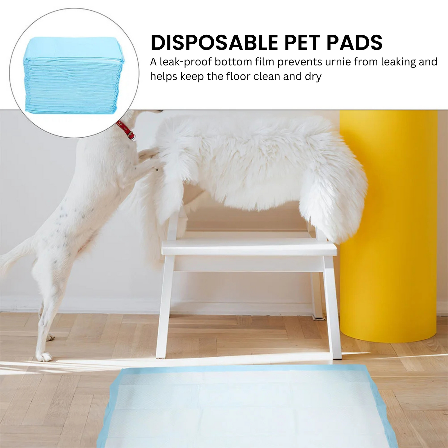 Disposable Pet Pads - Leak-Proof Design for a Clean, Dry Floor